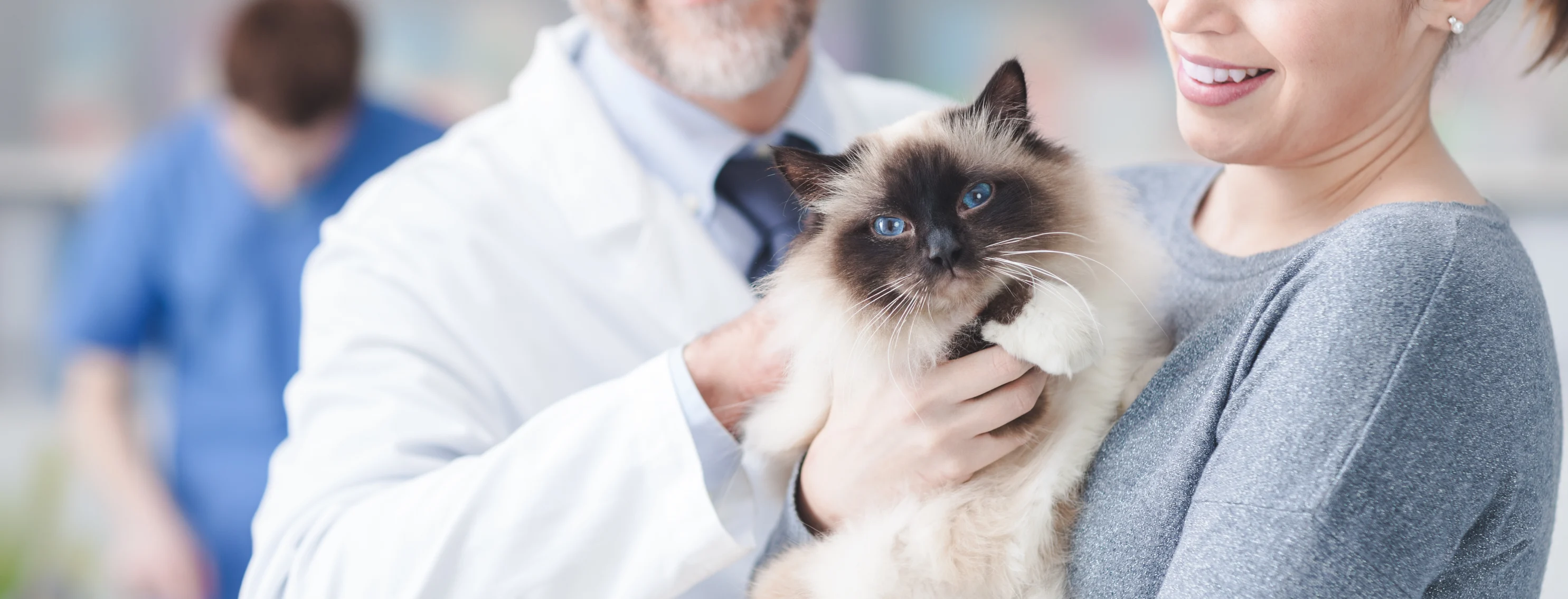 Woman holding cat with doctor